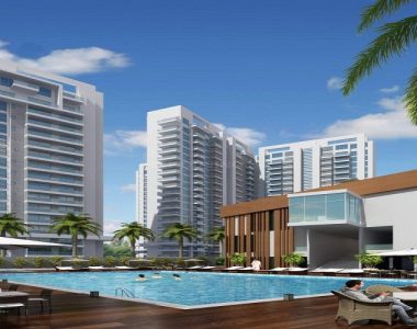 1624592909_fs-large (1)