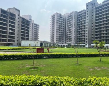 447919036m-1695885813373