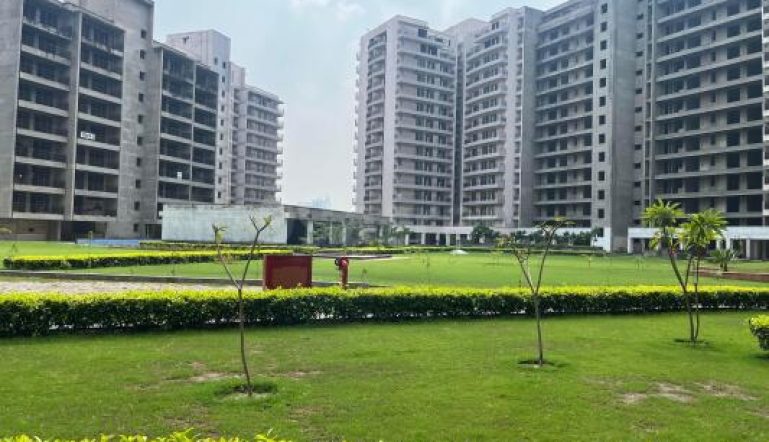 447919036m-1695885813373