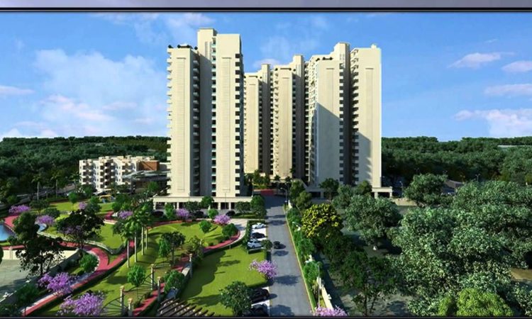 44c0962a251e015889d71325457b98ef