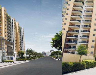 Aster Court Premier 4