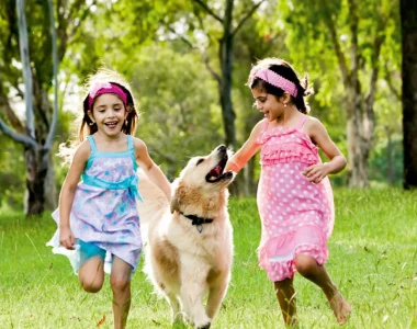 Bptp-102-eden-estate-plots-image-7