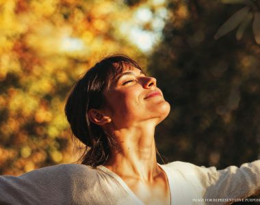 Bptp Amstoria Verti Greens Image 3