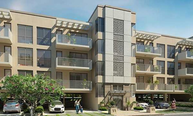 Bptp-pedestal-highlights