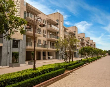 Bptp-pedestal-image1