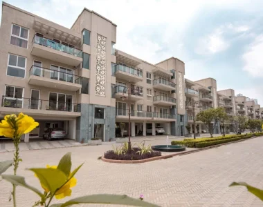 Bptp-pedestal-image4