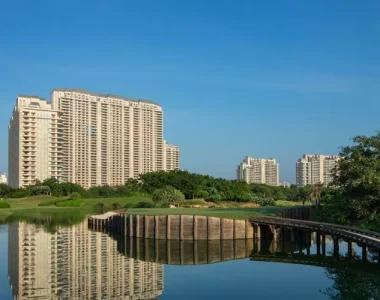 Dlf-the-camellias-banner