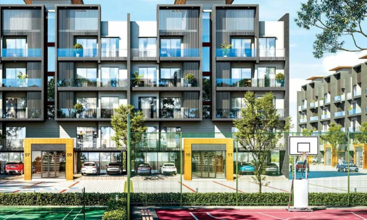 Mrg-crown-highlights