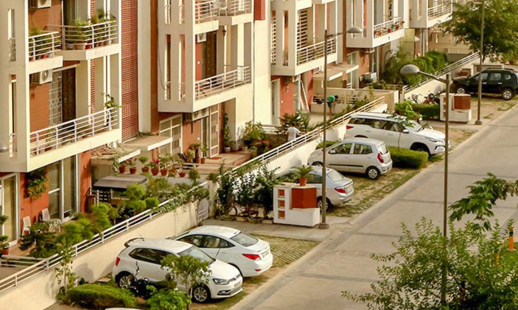 Orchid-island-image-02