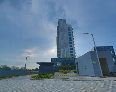 Paras-square-image-4