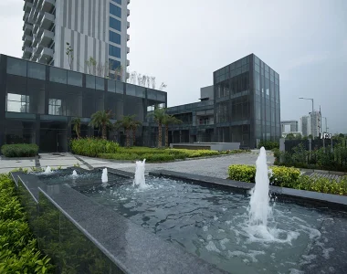 Paras-square-image-6