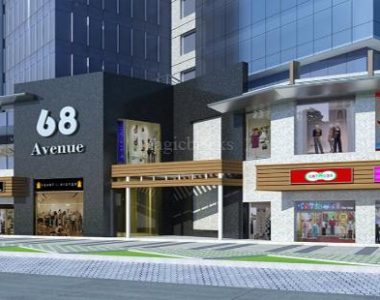 Project-photo-30-68-avenue-gurgaon-5016641_600_621_310_462