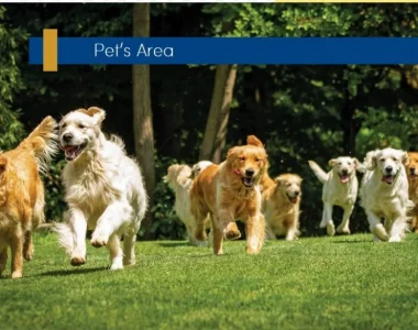 Signature-global-city-92-image-21