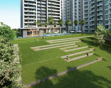 Tata-la-vida-image-4