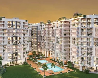 Tarc-tripundra-new-delhi