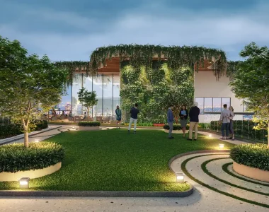 Tulip-monsella-highlights