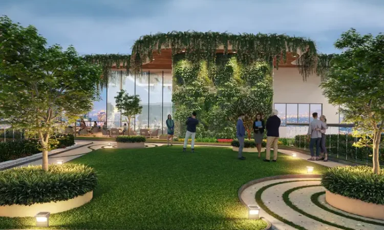 Tulip-monsella-highlights