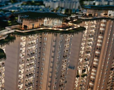 Tulip-monsella-overview