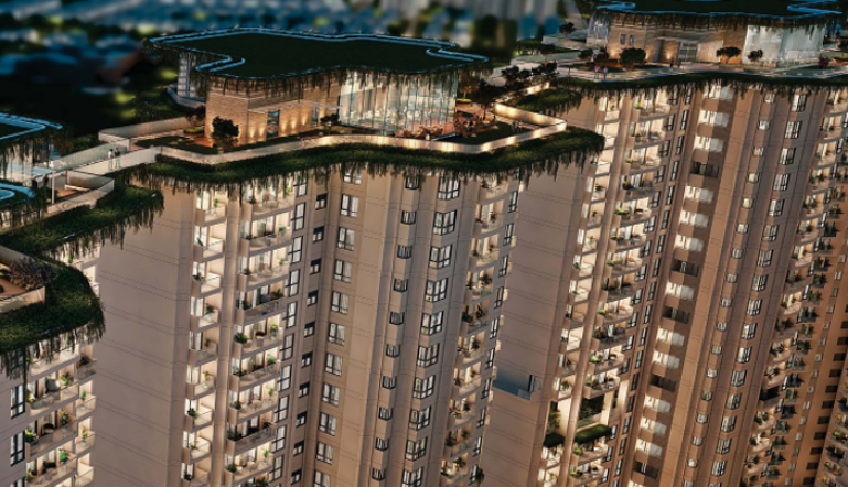 Tulip-monsella-overview