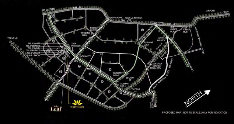 Tulip Yellow Location Map