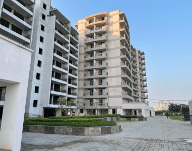 Untitled-design-2022-12-08t115513.130-min