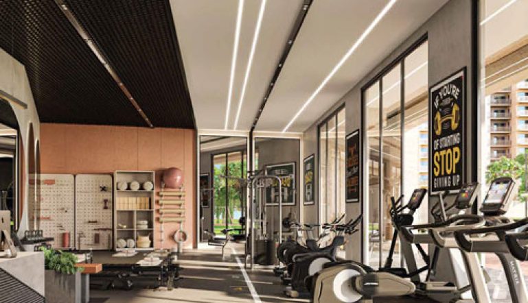 Ashiana-aaroham-sector-80-gurgaon-overview