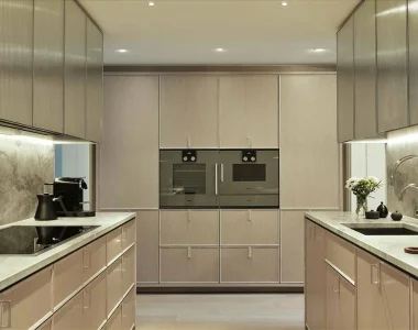 Birla-pravaah-sector-71-gurgaon-gallery-2