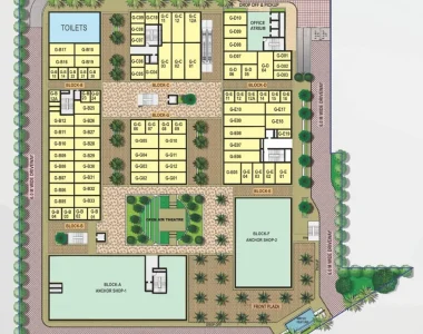 Fp1-955x1024-955x1024