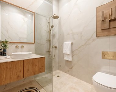 Grace-resilviaa-sector-78-gurgaon-galler-1