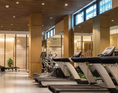 Jms-silver-living-sector-95-gurgaon-overview