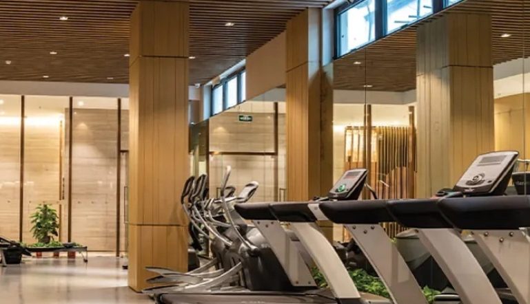 Jms-silver-living-sector-95-gurgaon-overview