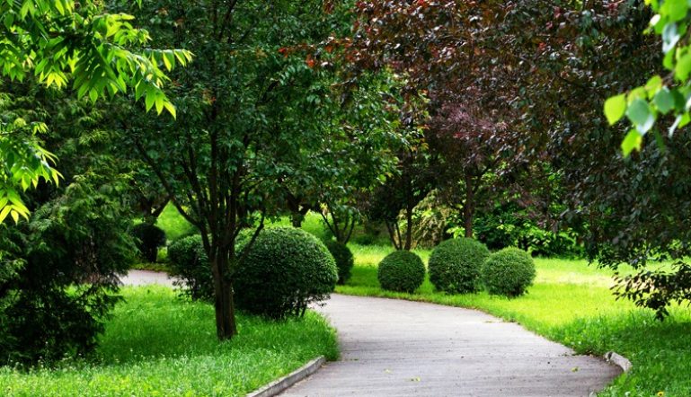 Mmy-the-prive-estate-floors-sector-102a-gurgaon-overview