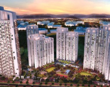 Mount-ville-elevation-977033