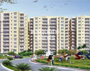 Orris-aster-court-project-large-image7