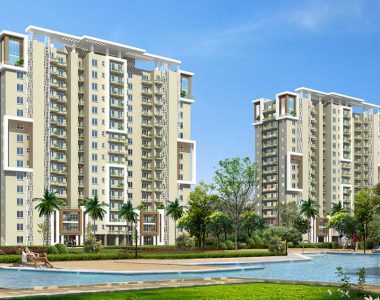 Palm-gardens-gallery1