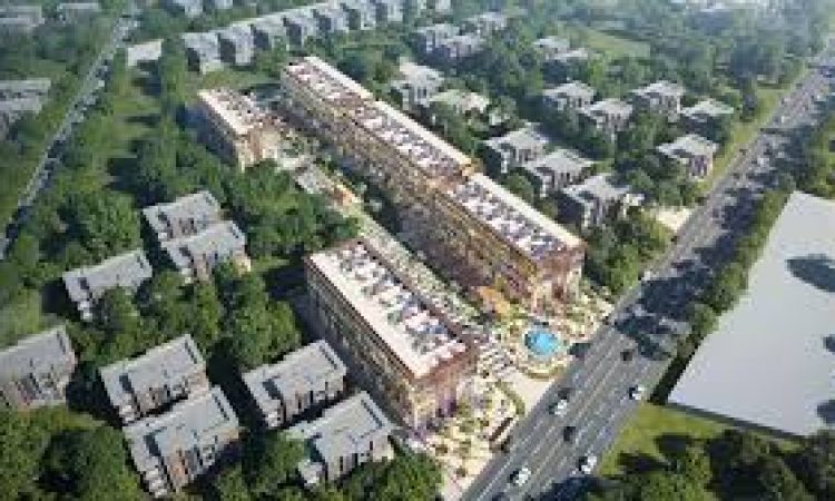 Paras-arcade-114-highlights