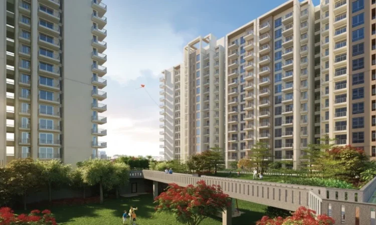 Tata-lavida-highlights